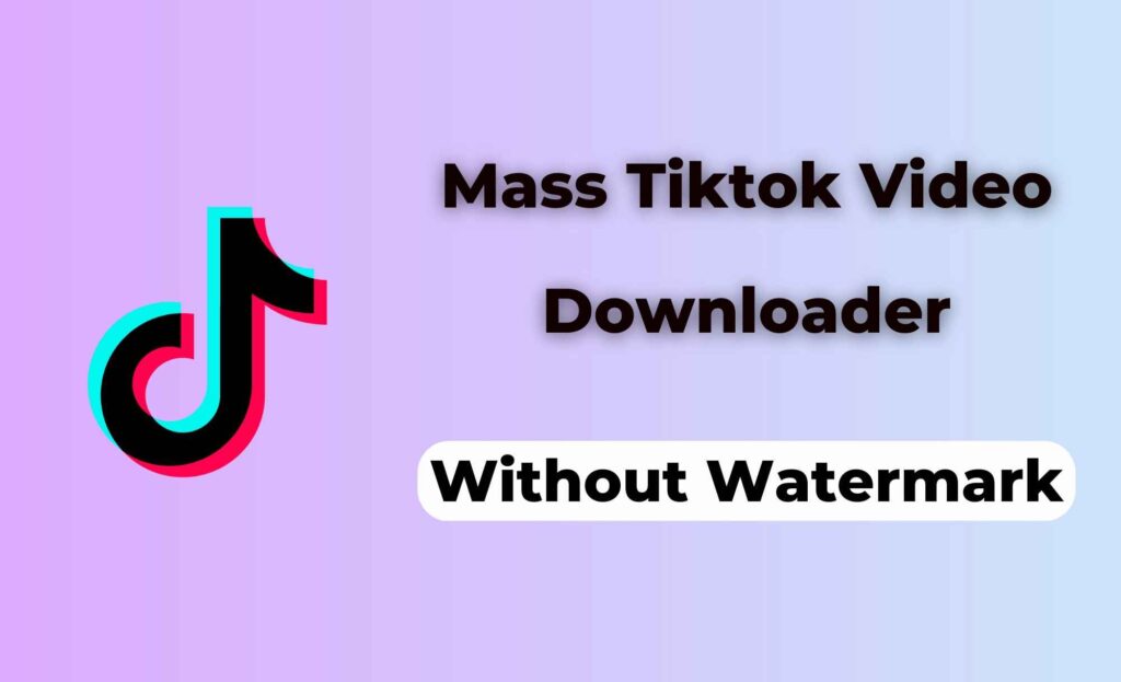 bulk tiktok video downloder